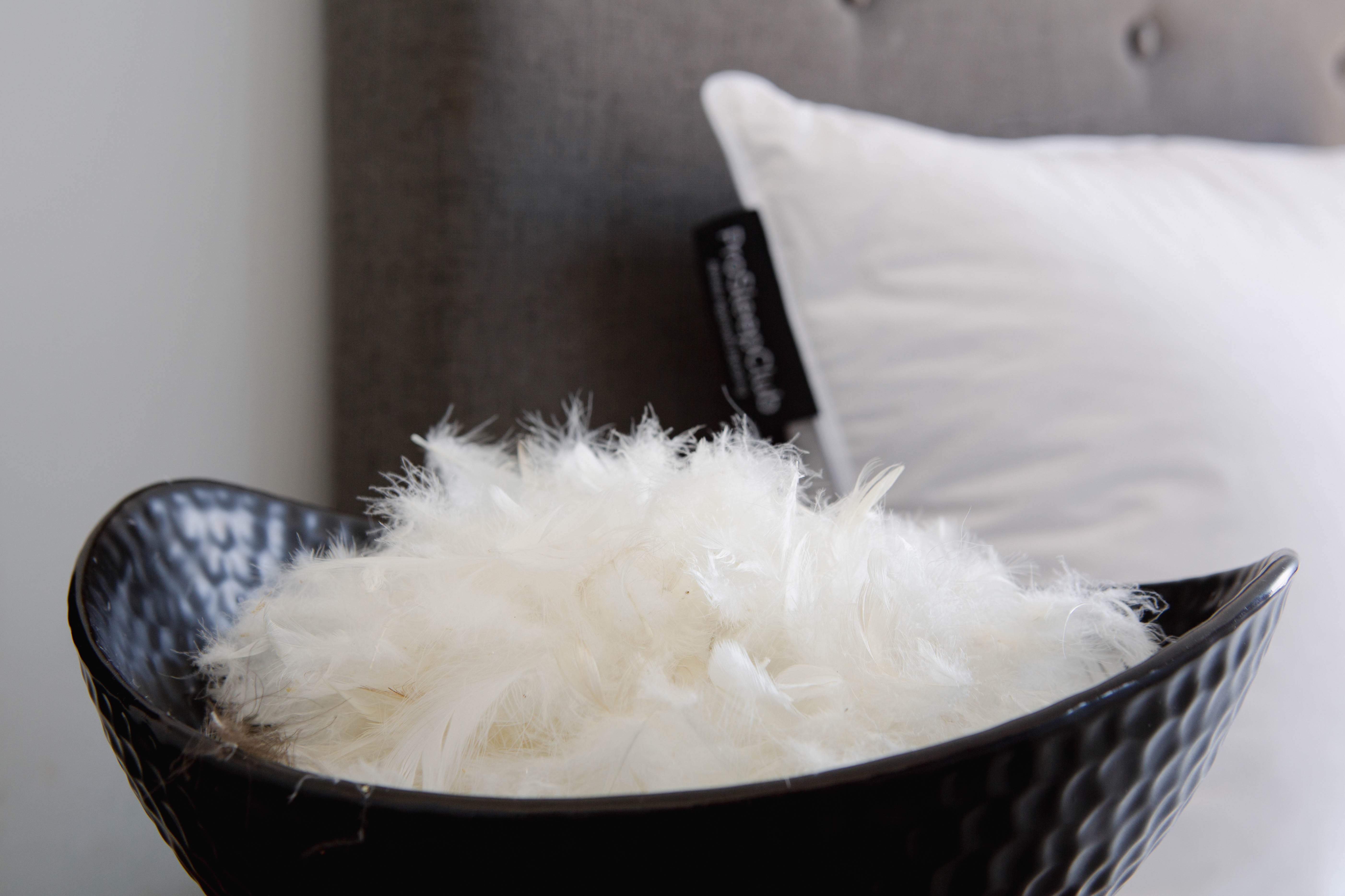 Pro Duck Duvet - 30% European Duck Down (70% Feather)